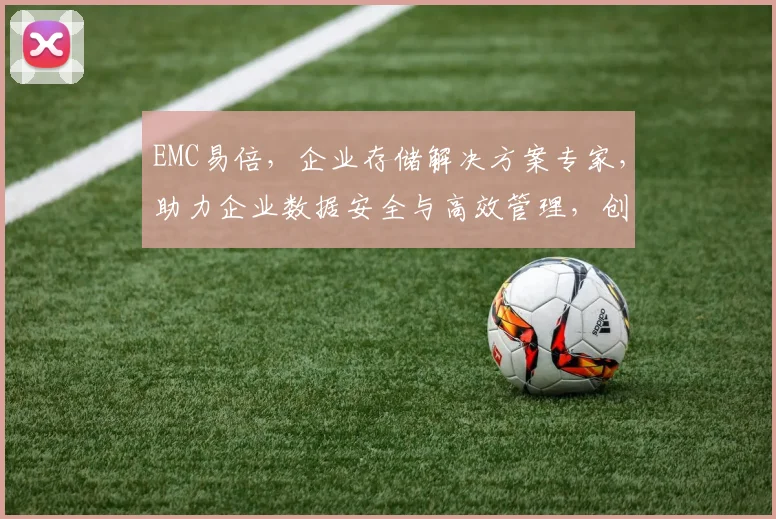 EMC易倍，企业存储解决方案专家，助力企业数据安全与高效管理，创新科技，引领未来。