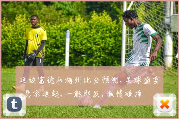 延边富德和梅州比分预测,足球盛宴,悬念迭起,一触即发,激情碰撞