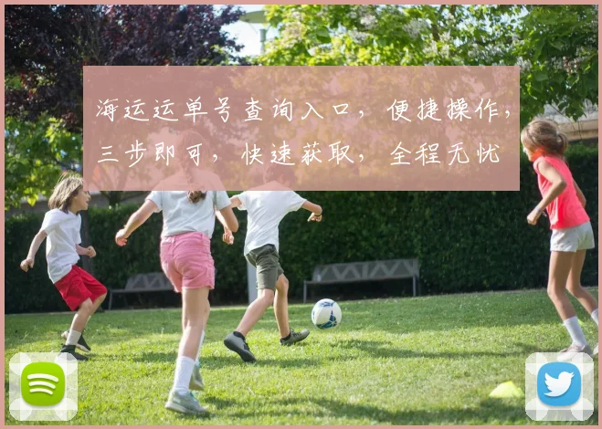 海运运单号查询入口，便捷操作，三步即可，快速获取，全程无忧
