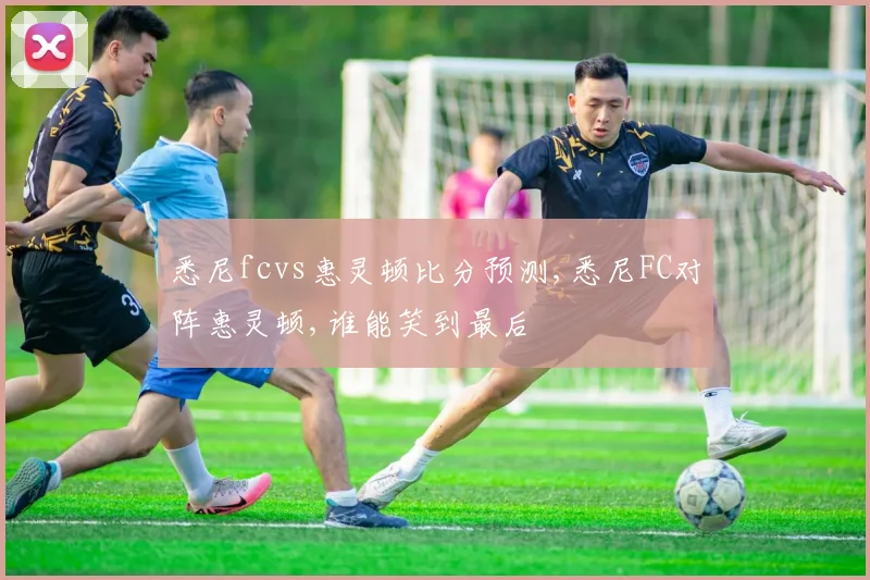 悉尼fcvs惠灵顿比分预测,悉尼FC对阵惠灵顿,谁能笑到最后